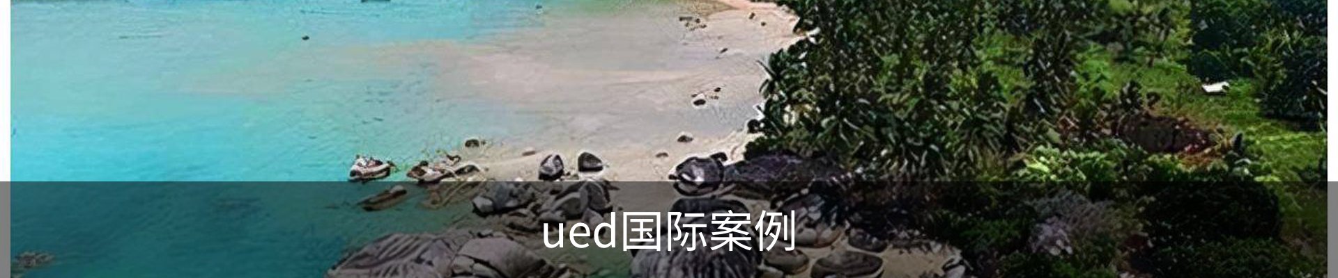 ued国际案例